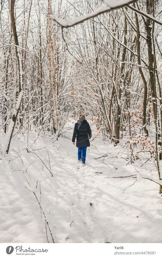 Winter Morning Hike Snow snow white winter stroll Tracks Traces of snow Winter forest branches twigs hikers winter hiking Forest White Bright Winter light tramp