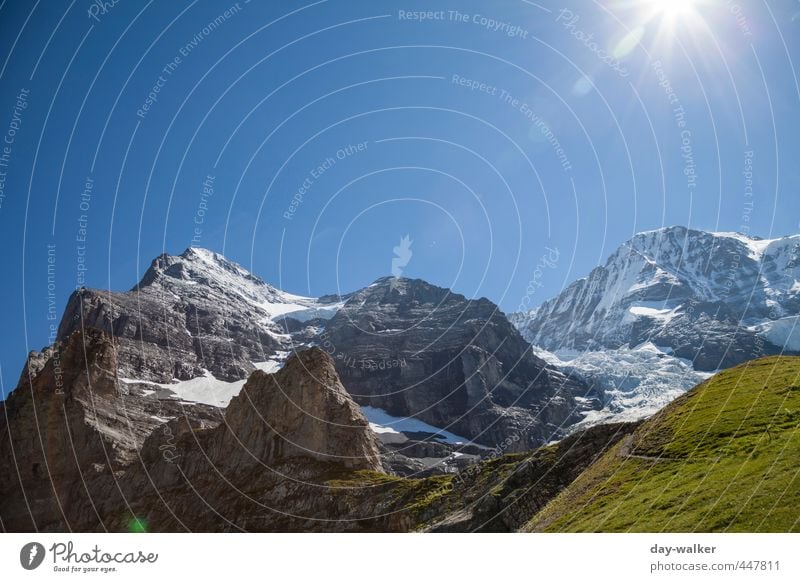 Eiger and Monk Nature Landscape Plant Elements Earth Sky Cloudless sky Sun Summer Beautiful weather Snow Rock Alps Mountain Peak Snowcapped peak Glacier