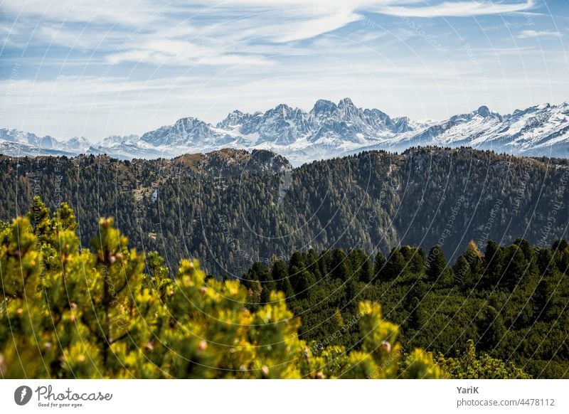 Trentino Italy Alps mountains Mountain tops Snowcapped peak snow-covered Autumn Winter Forest Hill Mountain range Hiking hike hiking area pines traipse