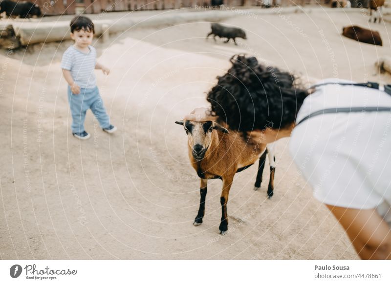 Woman caresses Goat Caresses Family & Relations caressing Goats Farm Farm animal Farmer two people Authentic Lifestyle Human being Child Adults Caucasian