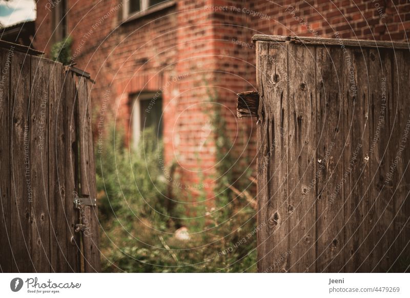 View into the backyard through a dilapidated wooden gate Wood Wooden door Wooden gate Goal Entrance Main gate Highway ramp (entrance) Backyard