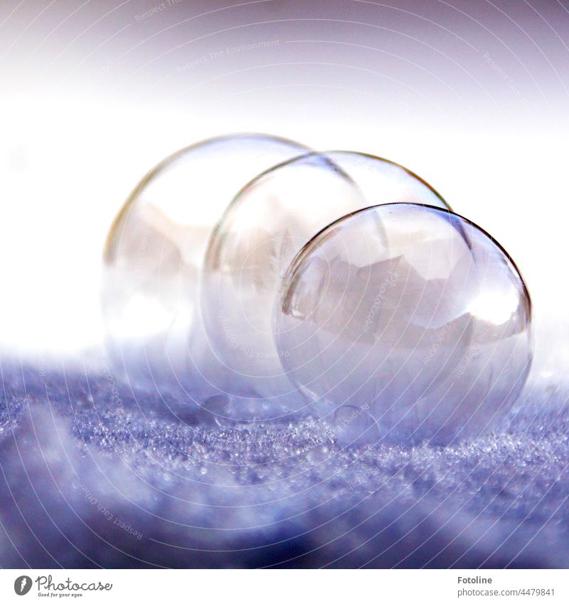 A trio of soap bubbles lies on cold snow and freezes away. Soap bubble Water Close-up Macro (Extreme close-up) Bubble Reflection Multicoloured Deserted Round