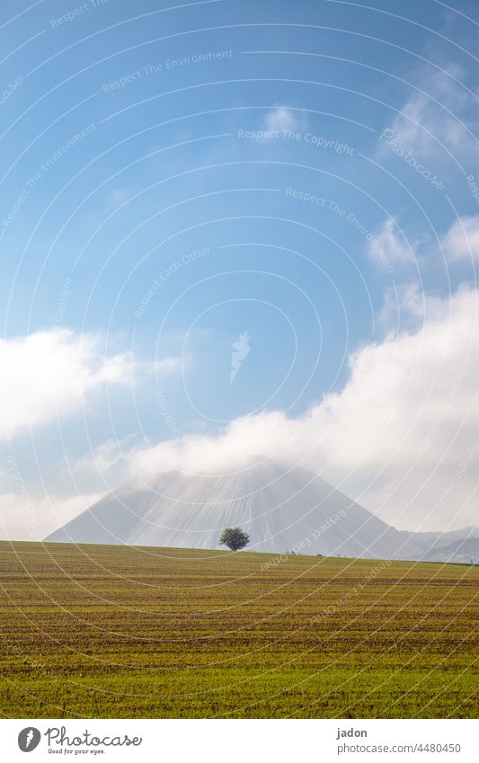 a tree in front of the bare mountain. Tree Mountain Mining Slagheap Meadow Landscape Nature Clouds Deserted Grass Green Blue Environment Hill Sky Green space