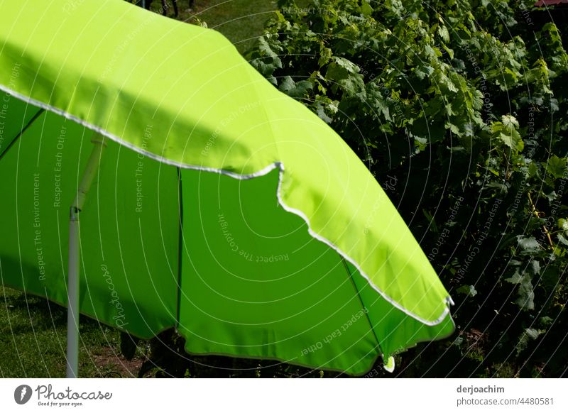 The sun is shining. Since the parasol is taken out and stretched on the same. green leaves in the background. Umbrellas & Shades Sunshade Exterior shot Deserted