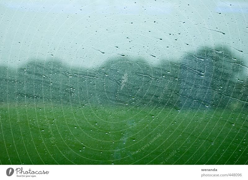 Journey through rain Environment Landscape Water Drops of water Sky Autumn Weather Bad weather Wind Rain Tree Grass Window Passenger traffic Train travel