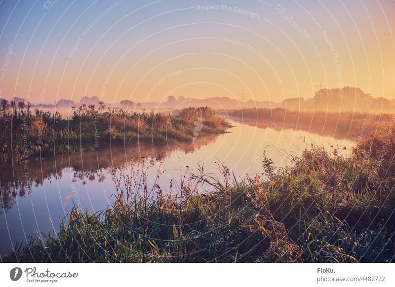 at the bend of the river Pinnau Schleswig-Holstein Landscape Nature Environment River Morning Fog Sunrise Water Exterior shot Sky Deserted Colour photo Sunlight