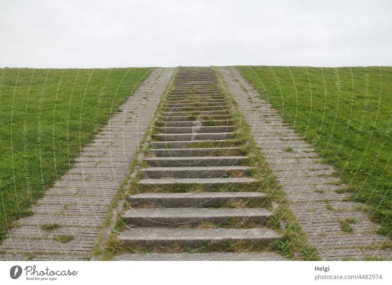 Stairway to heaven - concrete stairs leading up to the top of a dike, behind it grey sky Stairs concrete staircase Dike dike top Grass Sky Clouds off Meadow