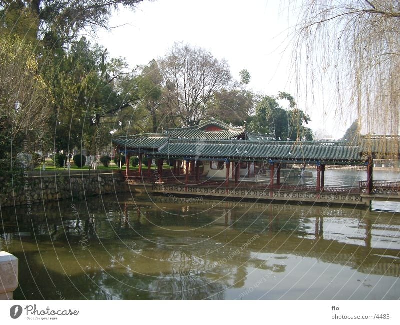 China I Building Tree Lake Park Nature Water