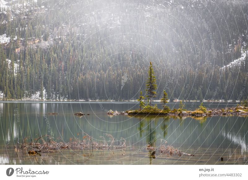 small island with fir trees in the middle of a mountain lake Lake mountains Snow Winter snowy Landscape Nature Vacation & Travel Adventure Hiking Deserted Wood