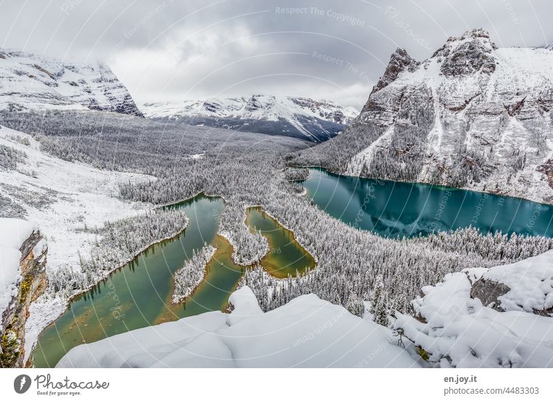 Winter landscape with lakes from above Snow Lake mountains forests Landscape Bird's-eye view Vantage point snowy Nature Mountain Panorama (View) Cold