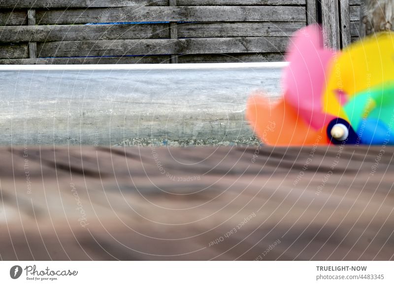 A coloured, moving windmill looks over a wooden table in the garden; in the background a privacy screen element made of wood Pinwheel variegated Toys Garden