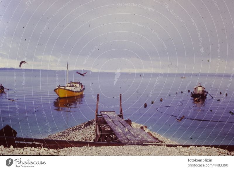 Wooden jetty to a body of water with yellow boat and seagulls Footbridge wooden walkway nostalgically Retro Fishing boat Nature Water Fisherman Chile South