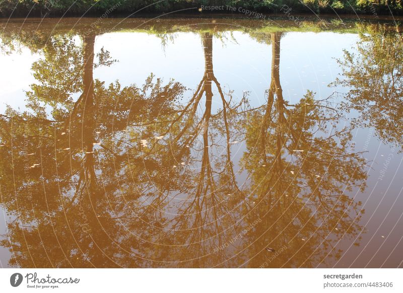 [Teufelsmoor 2021] Parallel World reflection Water River trees River bank Reflection Nature Landscape Colour photo Deserted Sky Beautiful weather Autumn Green