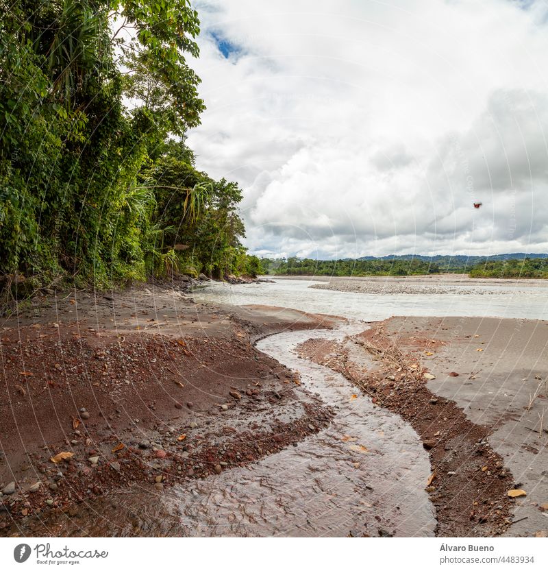 Impressive landscape of trees and the Amazon rainforest, on the banks of the Madre de Dios River, in the Manu National Park river fluvial landscape water hills