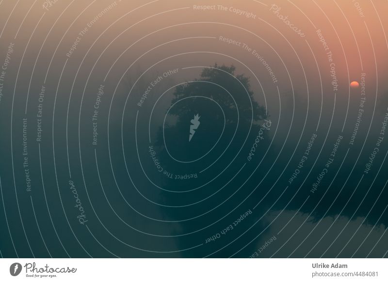 UT Teufelsmoor 2021 - A new day begins 🤗 Grief mourning card Mystic hazy Bog Dawn Deserted Colour photo Landscape Exterior shot travel romantic Nature reserve