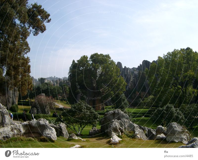 China III Park Tree Meadow Vacation & Travel Rock Mountain