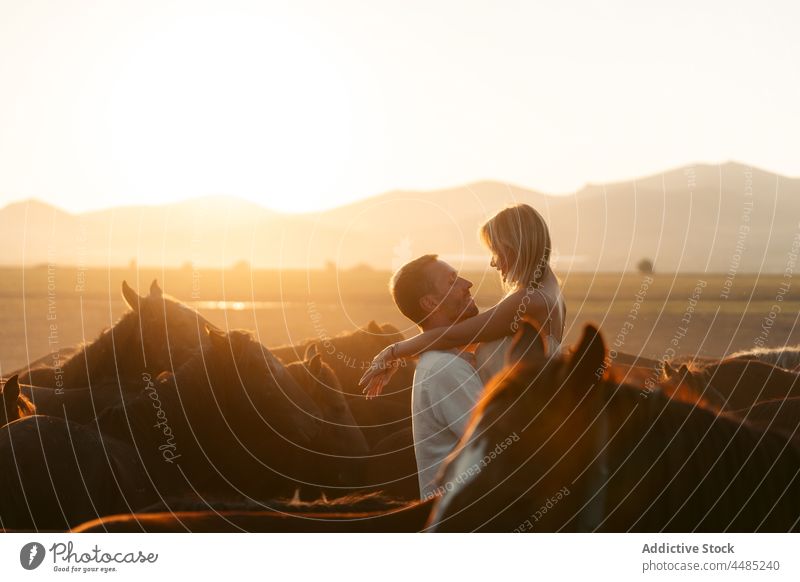 Man raising woman among horses in sundown silhouette couple countryside field relationship affection together love sunset hill boyfriend idyllic romance bonding