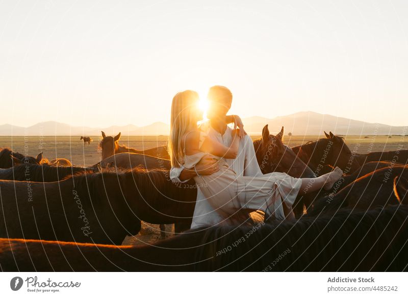 Male holding girlfriend with horses in countryside couple field relationship affection together love sunset hill animal boyfriend idyllic romance bonding nature