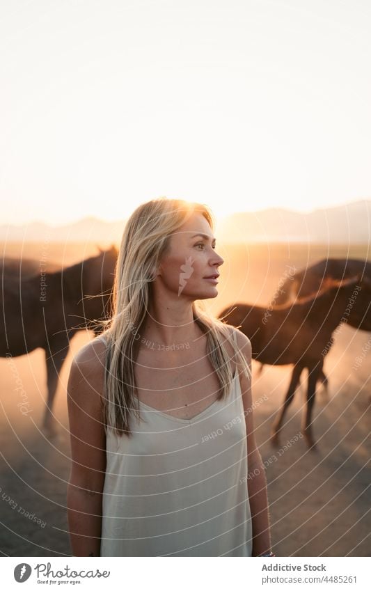 Woman with horses in field under sundown woman animal herd nature mountain countryside summer livestock blond lifestyle turkey mammal pasture female rural