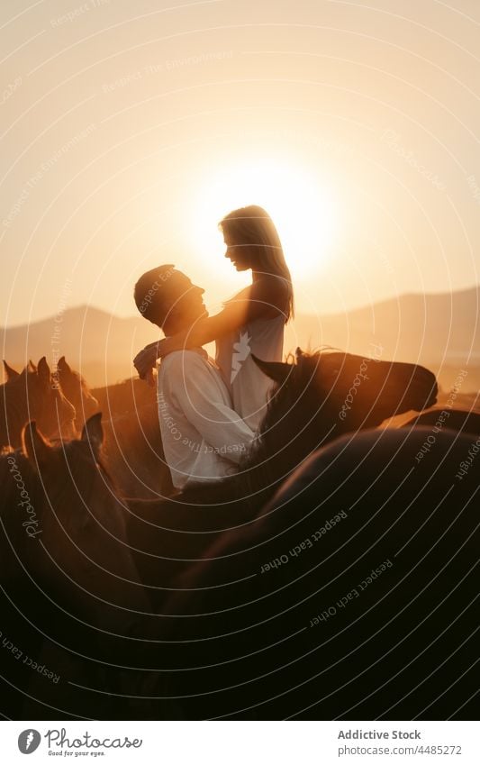 Man raising woman among horses in sundown silhouette couple countryside field relationship affection together love sunset hill boyfriend idyllic romance bonding