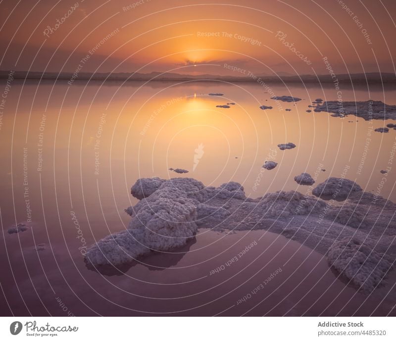 Salinas de Torrevieja near lake salt water saltwater pink nature national park aqua mineral torrevieja spain alicante salinas de torrevieja famous evening