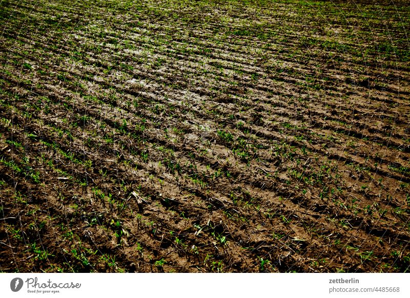 agriculture Bodden holidays autumn holidays autumn vacation Meck-Pomm Mecklenburg Mecklenburg-Western Pomerania meckpomm good for the monk off-season Baltic Sea