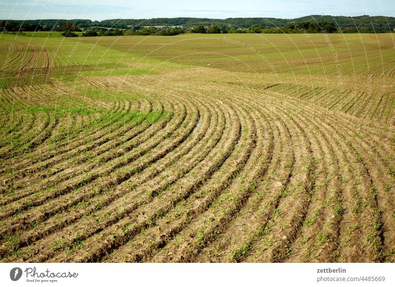 agriculture Bodden holidays autumn holidays autumn vacation Meck-Pomm Mecklenburg Mecklenburg-Western Pomerania meckpomm good for the monk off-season Baltic Sea