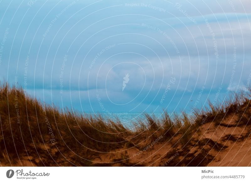 View of the dunes to the sea duene Vantage point Ocean Water Horizon North Sea Light colored Nature Sand Beach Looking outlook Dune View looking at the sea