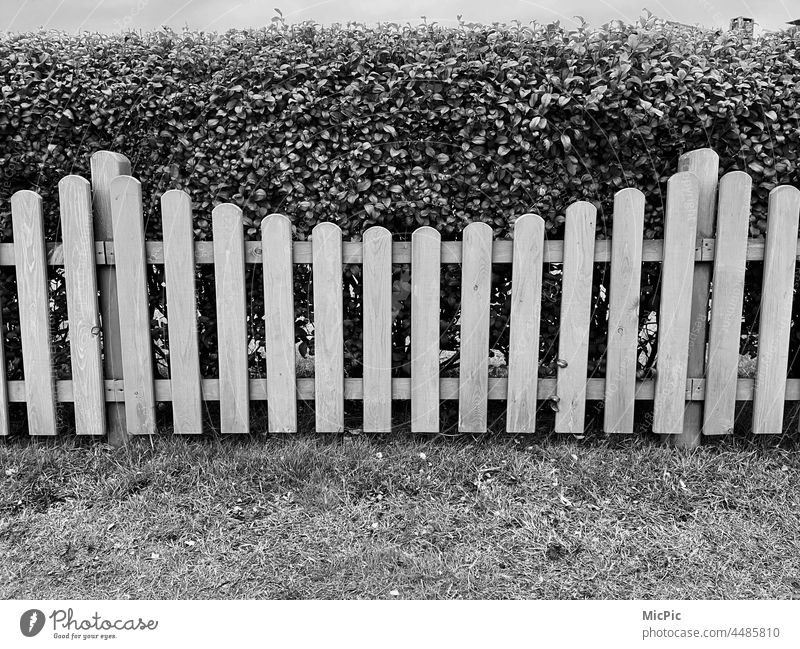 Fence garden fence black white "Off through the hedge" Garden fence onlooker Exterior shot Border Wood Wooden fence Black & white photo lattice fence Hedge