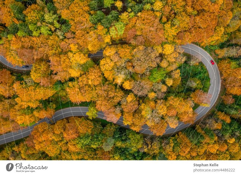 Having a trip in the autumn season, driving by car through the wonderful foliage. Top down shot by a drone. road tight red street top down above fall colors