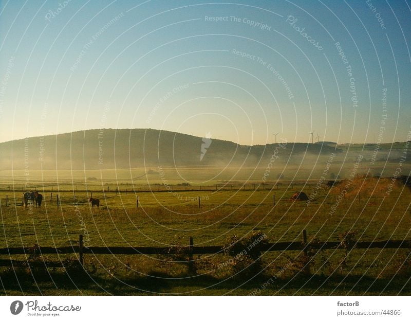 Morning fog in the Eifel region Fog Meadow Calm Dawn Landscape