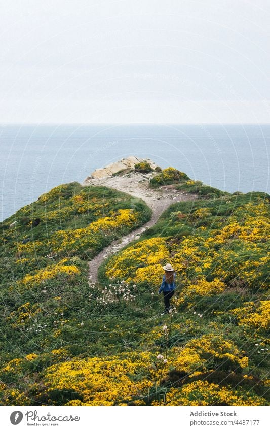 Anonymous woman walking on cliff near sea traveler flower coast journey adventure seashore water seaside waterfront waterside seascape environment ripple