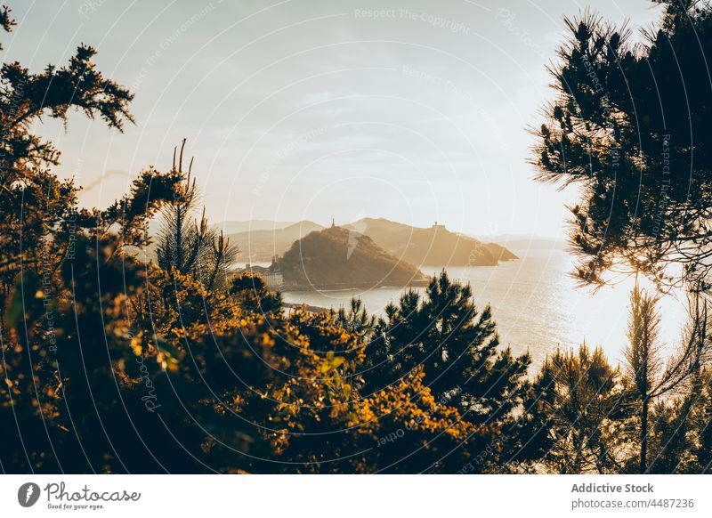 Picturesque landscape with rocky formations and calm water of bay scenery nature plant environment shore ocean san sebastian donostia spain basque country