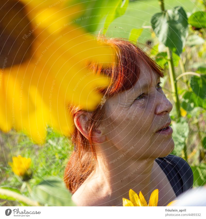 UT Teufelsmoor | in the sunflower field Sunflower Woman Yellow Flower Summer Face of a woman naturally warm Nature Blossom Exterior shot Sunlight