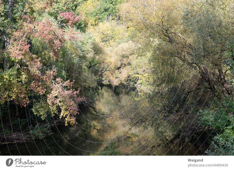 River in autumn colours Autumn foliage Hohenlohe Cooker Schwäbisch Hall variegated Transience transient Hope Grief