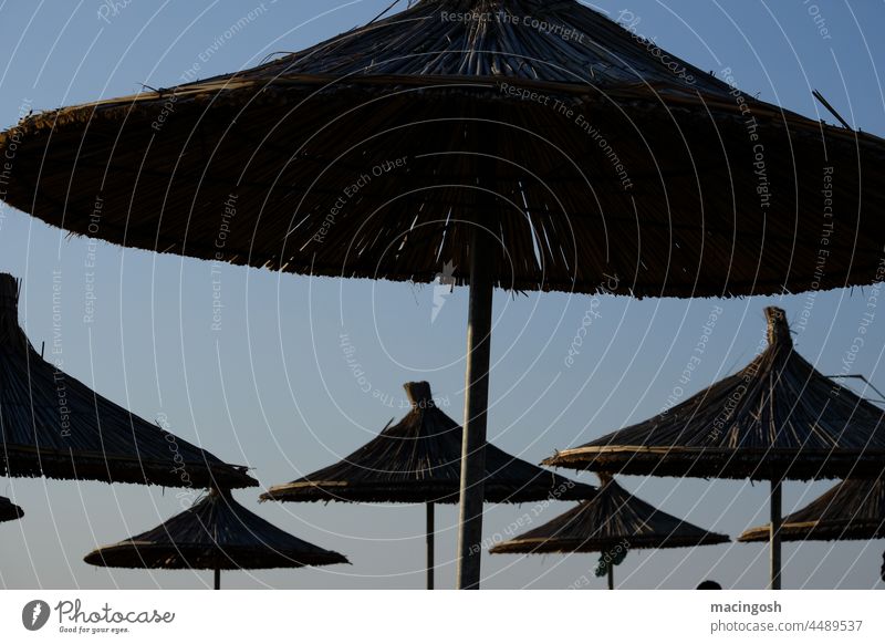 Bast sunshades at dusk Summer Summer vacation Vacation & Travel Beach Ocean Tourism Relaxation Exterior shot coast Sky Sandy beach Blue Deserted Sunshade Sunset