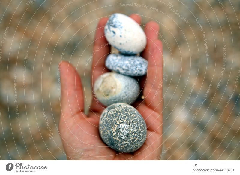 Hand holds beautiful rocks Abstract Close-up Calm Accumulation shape Pebble Ecological found sorted background Public Holiday oceanic Picked Beachcombing