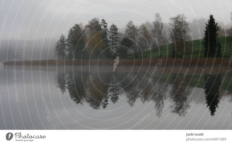 Atmospheric autumn at the lake Lake Autumn Reflection Nature Landscape Calm Sky Idyll foggy Deciduous tree Västra Götalands län Swede Silhouette Lakeside Moody