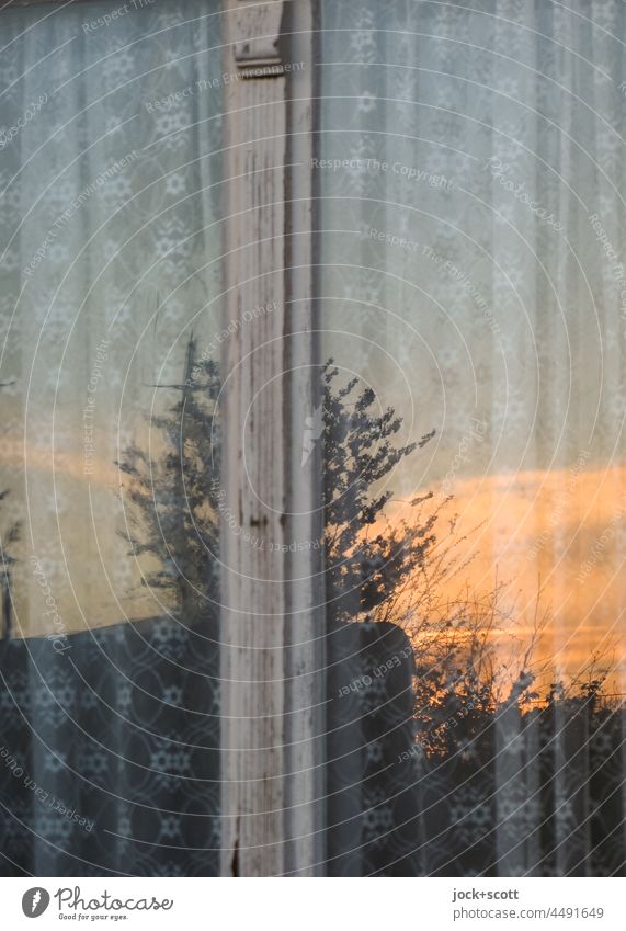 Evening red reflected in the window glass Window Window pane Sunset Sunlight Reflection Pane Curtain Pattern pattern mix Deciduous tree Detail Swede Mysterious