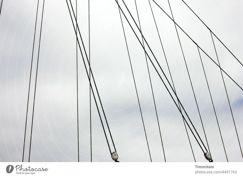 Lines - rigging of a sailing ship Rigging Lashings Sailing ship Navigation Rope Roll lines Sky Clouds Denmark Exterior shot