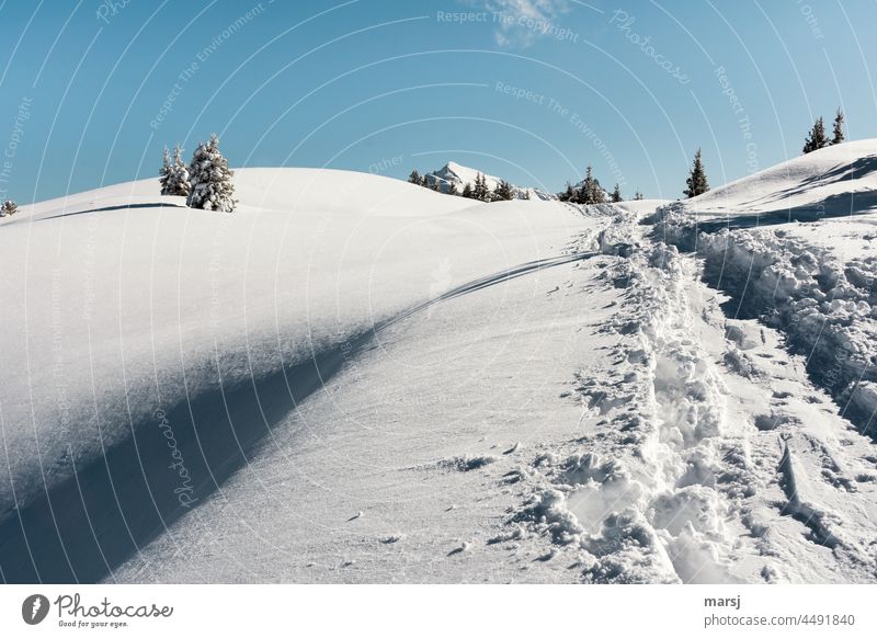 Snow hiking in deepest winter. Snow tracks, I was apparently not the first. Landscape Winter Hiking Freedom Vacation & Travel Trip Calm Mountain Tourism Nature