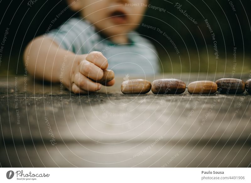 Cute child playing with acorns Child childhood Playing Acorn Oak tree Autumn Authentic Autumnal Brown Forest Autumnal colours Green Colour photo Plant