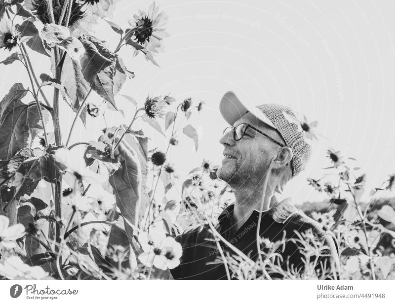 UT Teufelsmoor l The gardener also comes across well in black and white 😀 Man Human being Exterior shot Adults Sunflowers Sunflower field Gardener pick flowers