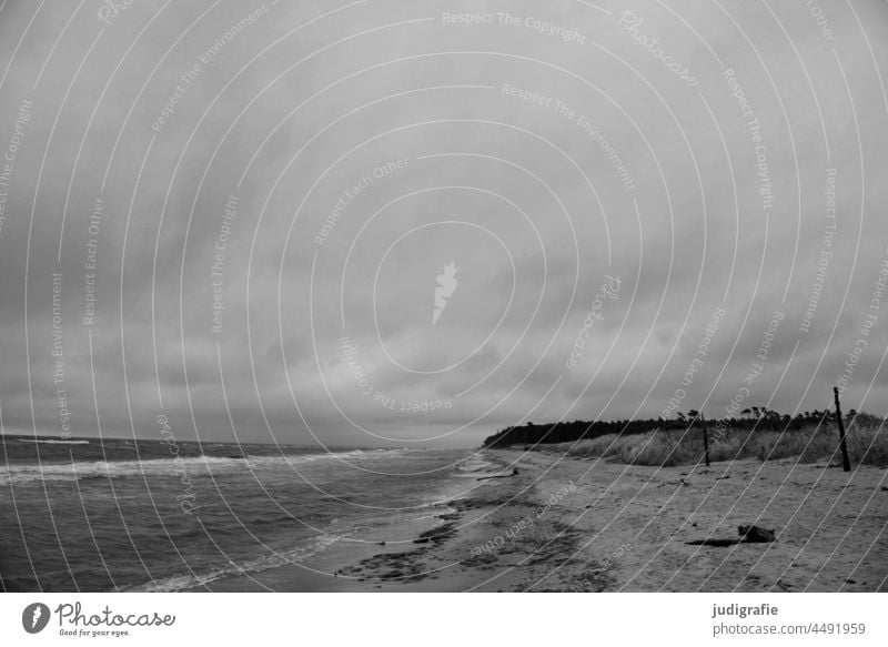 western beach Western Beach Baltic Sea Darss Fischland-Darss-Zingst coast Weather Clouds Wind Sky Nature Landscape Ocean Beach dune Climate Autumn Threat somber