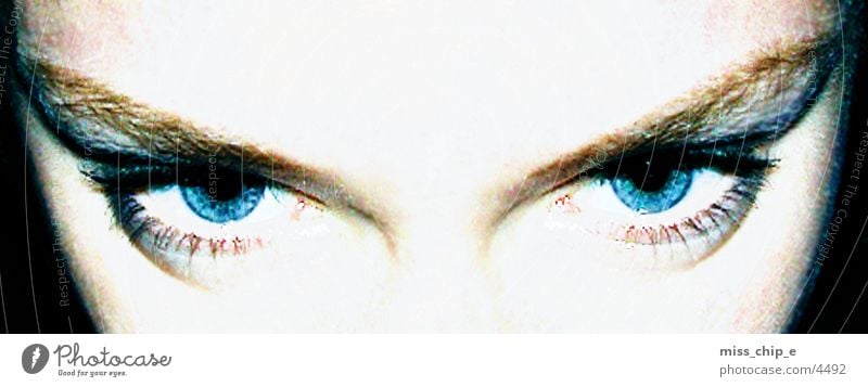 eyes Human being Eyes blue eyes