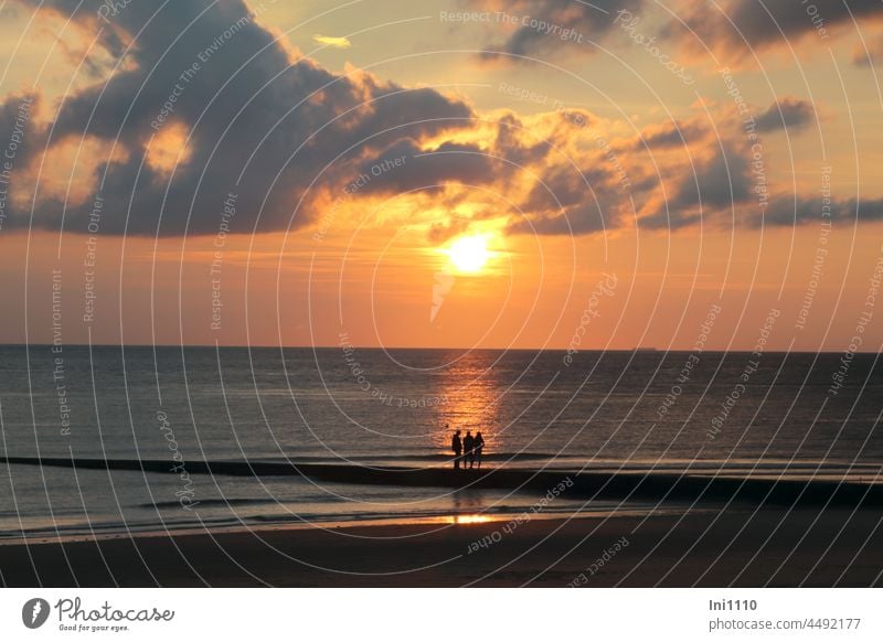 enjoy the sunset on the groyne Island Ocean North Sea Beach Sky wide Clouds Evening Sunlight Bright colours natural spectacle Dusk Sunset setting sun