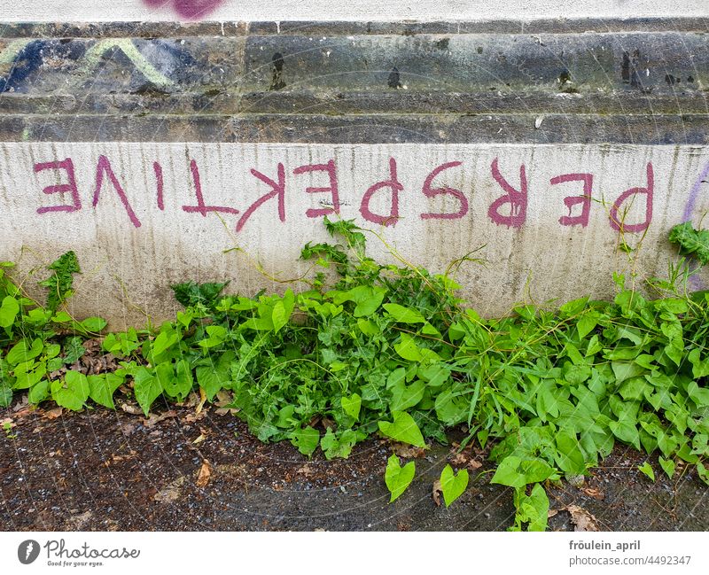 Perspective in green - street philosophy change of perspective Wall (building) urban Letters (alphabet) lettering Graffiti Sign Wall (barrier) Text Philosophy