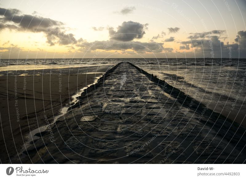 Path leads into the sea off Ocean ocean Vacation & Travel Water Beach Sunset Clouds path straight Target Far-off places coast Freedom