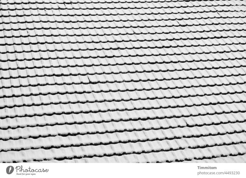 Tiled roof with snow brick Roof Old Snow Forms and structures Cold Winter lines White Black Black & white photo Exterior shot Deserted