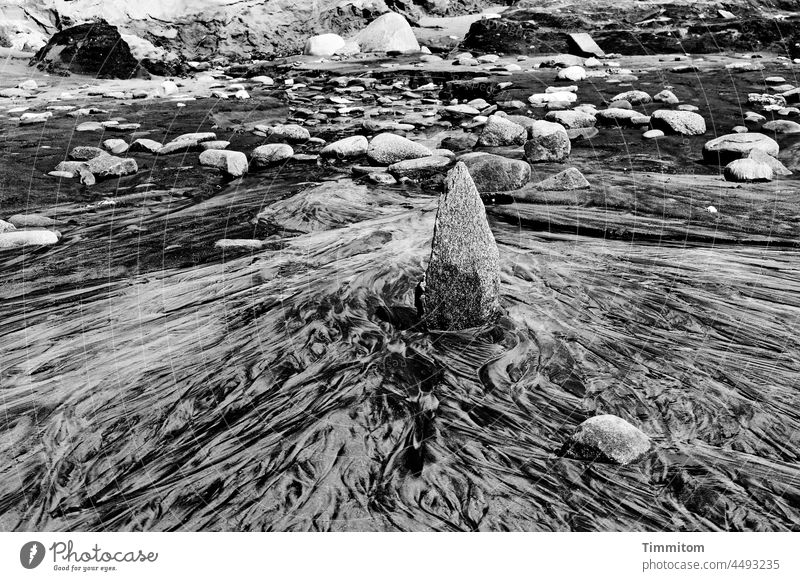 Somewhat unusual sight on Danish beach Denmark Beach Sand stones Moraine duene lines Seepage water North Sea Vacation & Travel coast Nature Black & white photo